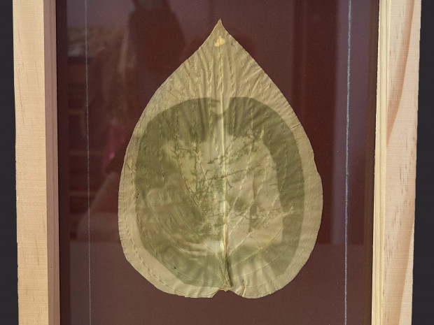 macafoto_Chlorophyll print_woman_01